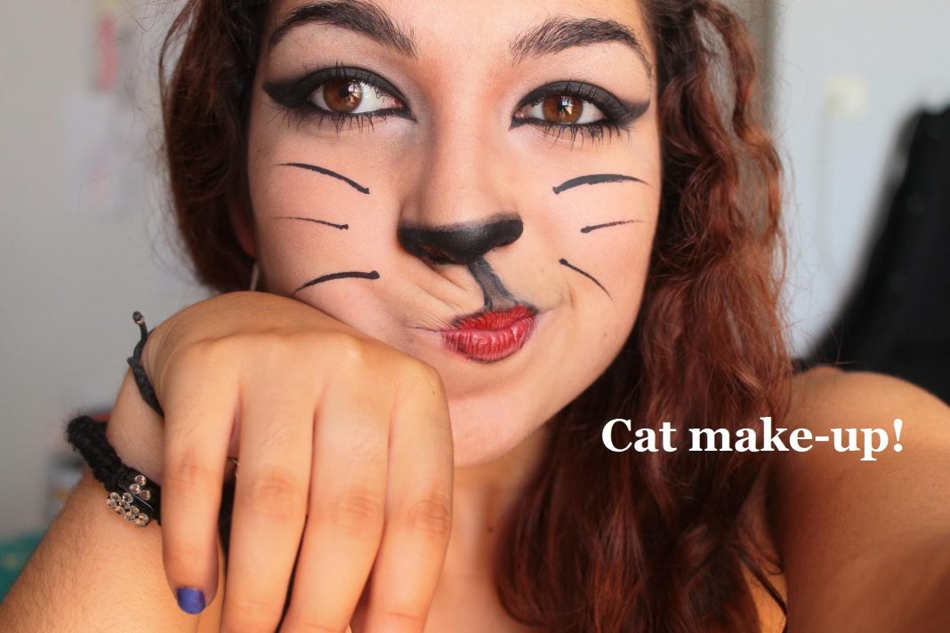 maquillage de chat