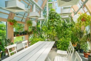 plantes-vertes-dans-pavillon-verriere-interieur-moderne